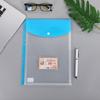11 Holes Binder Cash Envelopes Transparent Files Envelope Bags Binder Punched Pockets  Receipt