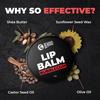 Beardo Bubblegum Non Tinted Lip Balm For Men 7g Pack Of 1 Soft Kissable Hydrating Lips
