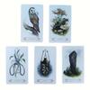 A Compendium of Witches Oracle 12x7 Cm Card Games