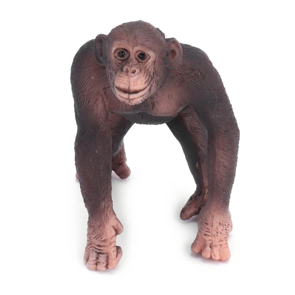 Animals Figures Gorilla Wild Animal Model Educational Children Toy Desktop Decoration
