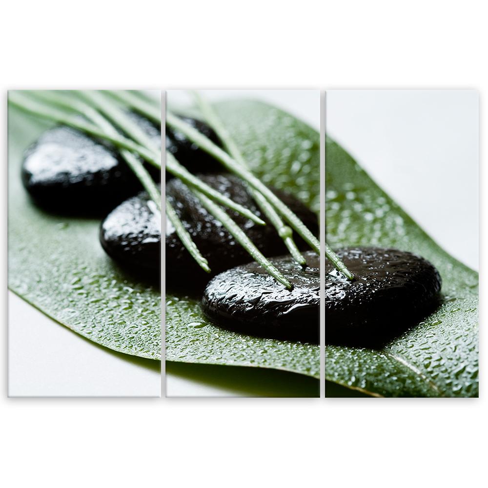 Картина из трех частей, печать на холсте Natura Zen Leaf Stones
