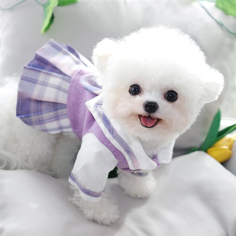 Princess Skirt Puppy Clothes Spring And Autumn Teddy Bichon Pomeranian Schnauzer Small Puppy Pet Autumn And Winter