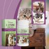 Yegbong Feline Amino L-Lysine Tablets Pet Cat Body Care Keep Your Cat In Good Condition