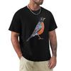 American Robin Bird Painting No Background Tshirt Essential T Shirt Tshirt