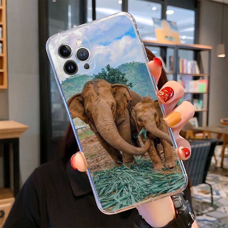 Чехол для телефона с изображением слона для iPhone 14 13 12 11 Pro Max XS X XR SE 2020 6 7 8 Plus Mini Transparent Shell