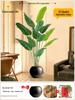 Искусственное дерево Стрелиция - Роскошная зелень для декора гостиной