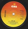 7inch Record DAVID ESSEX - Ooh, Love SCBS4842 CBS 1976 UK Pop Used
