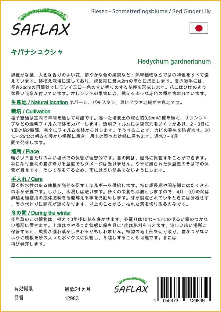 SAFLAX Подарочный набор - Красная имбирная лилия - 10 семян - С подарочной коробкой, карточкой, этикеткой и субстратом для горшков - Hedychum gardnerianum