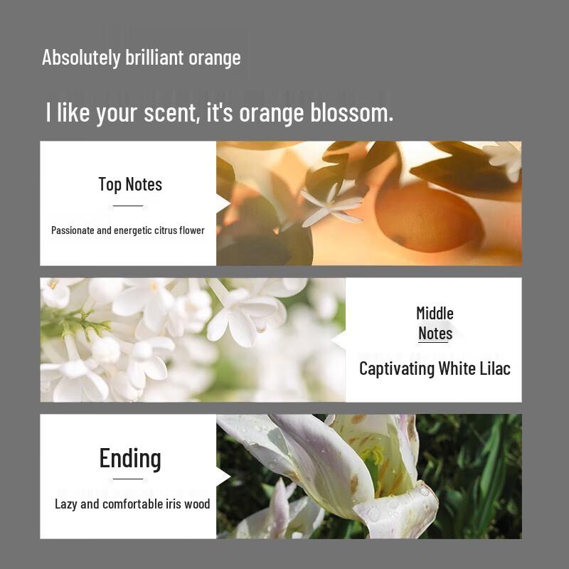 Pote Wheat Germ Nourishing & Repairing Hair Conditioner