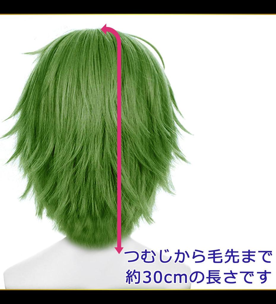 Парик для косплея CaseEden, Премиум Короткий, 30 см, Термостойкий, Темно-зеленый, WIG6189