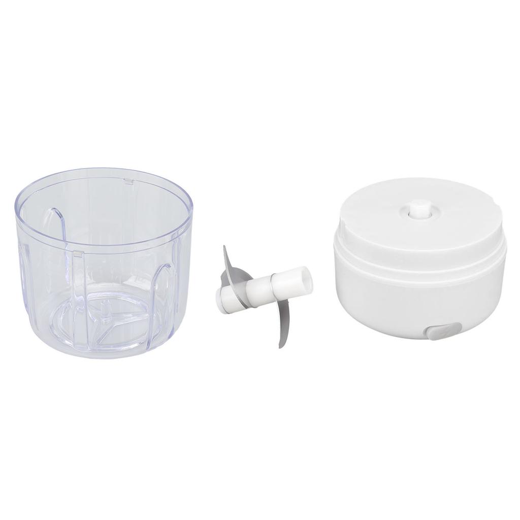 Мини-электрический измельчитель чеснока с большой емкостью и мощным мотором из нержавеющей стали 304, кухонный комбайн 250 мл