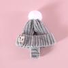 Knitted Dog Hat Cat Pompon Hat Winter Warm Hat with Ear Holes for Small