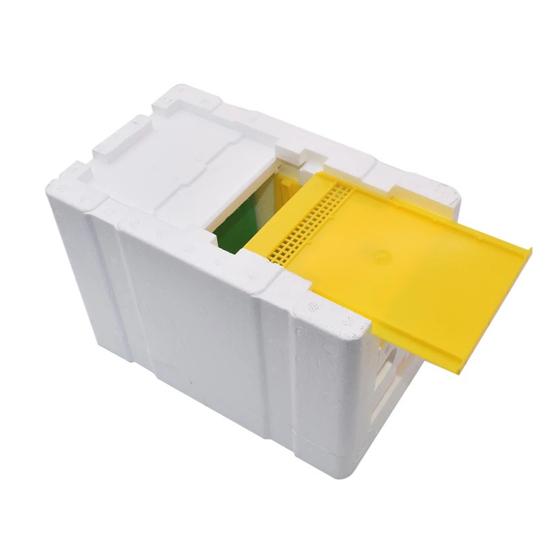 Queen Bee Mating Box Foam Queen Rearing Box Breeding Rearing Copulation Accessory Beekeeping Equipment for Beehive Bee Breeding