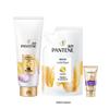 Питательный набор для волос Pantene Strong Root