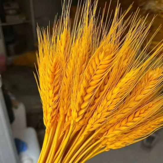 100 шт., искусственный пшеничный початок со стеблем, реалистичный, не увядающий, без полива, реквизит для свадебных фотографий, в помещении, на открытом воздухе, для дома, офиса, сада, сексуальная одежда для взрослых