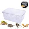 Transparent Reptile Tank Plastic Reptile Transport Container  Reptile Pet Supplies
