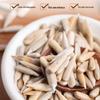 Xinjiang Original Flavor Horse Tooth Melon Seeds