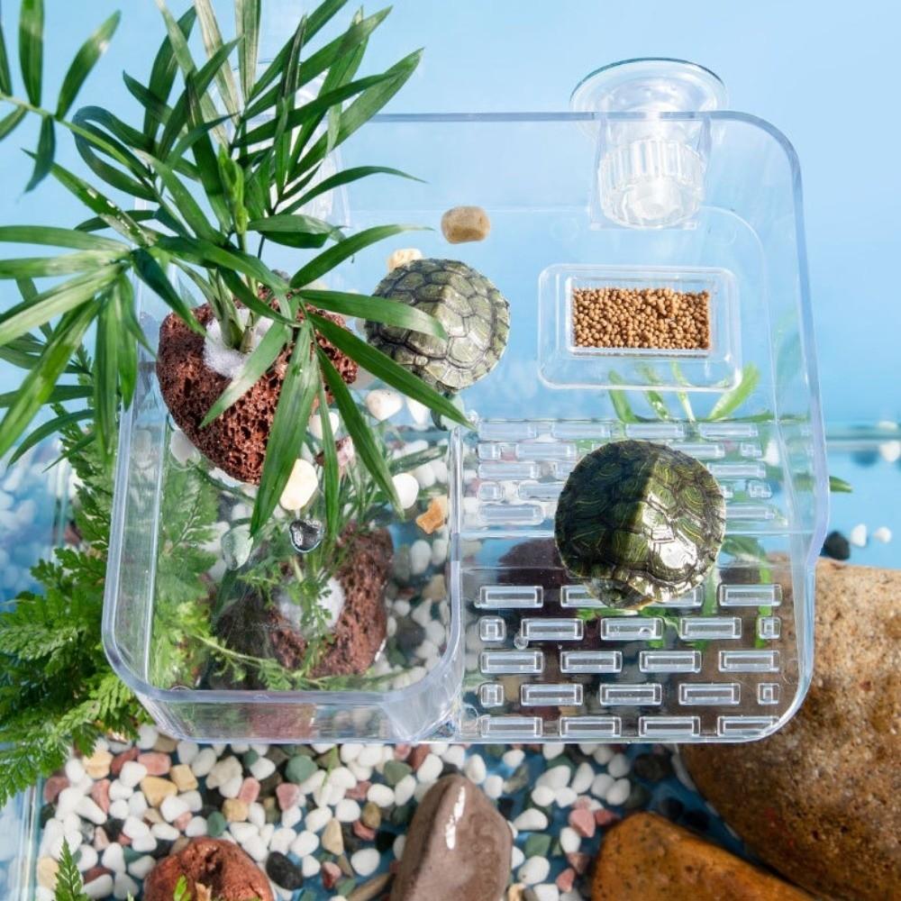 Transparent Tortoise Climbing Basking Platform  Aquatic Turtles Terrace