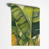 Wallpaper Banana leaves Nature