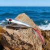 Воблер-колебалка VIB Wave с встроенной погремушкой для всех слоев воды - Идеален для окуня и мандаринки.