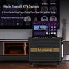 MALONE GT-809S Portable KTV & Live Streaming Speaker CN plug (adapter included) (CN version)