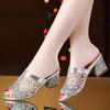 Sparkling Women's Chunky Heel Sandals with Breathable Mesh and Glitter Sequins Perfect for Fashionable Open Toe Carnival Pumps