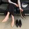 Temperament Low Heel Shallow Mouth Pointed Single Shoes Women's 2025 Spring and Summer New French Retro One-pedal Commuter Shoes Work Shoes