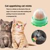 Кошачья мята Конфеты для облизывания Сахар для котят Помощь питью Пищеварение Сахарные лакомства