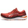 Кроссовки Gel Kayano 29 Spice Latte Black Мужские красные 1011B440-600