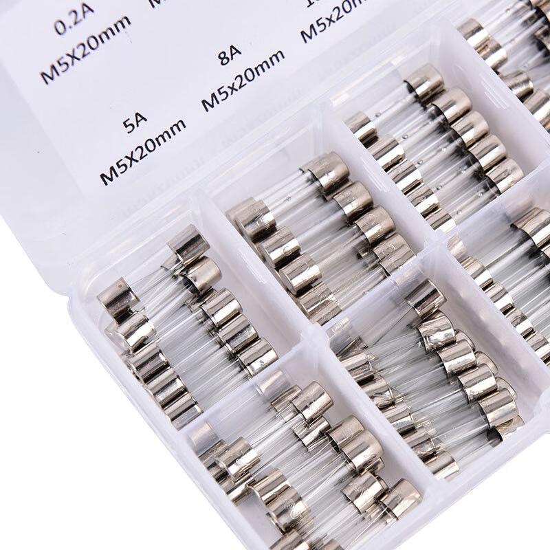 XIZUO Automotive Glass Tube Fuses (100-Pack)