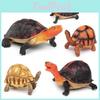 Angonoka Tortoise Pvc Simulated Animal Model For Kids Learning Home Decor Gift
