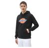 Dickies Icon Logo худи