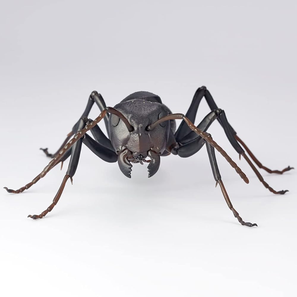 Kaiyodo REVO GEO Черный муравей-древоточец Camponotus (Муравей-кампанейро) - Примерно 115 мм в длину, без масштаба, ПВХ и АБС, предварительно окрашенная, подвижная фигурка