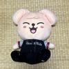 [USED] StrayKids Soft Toy PappyM