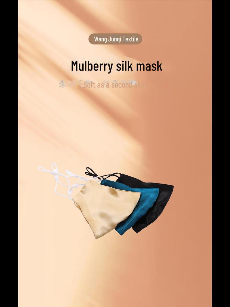 "19 Momme 100% шелковица пылезащитная дышащая маска"