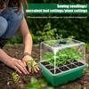 Семена стартовый лоток 6 ячеек/12 ячеек Семена лоток для проращивания с регулируемой вентиляцией влажности Ящик для рассады растений для комнатных саженцев бонсай