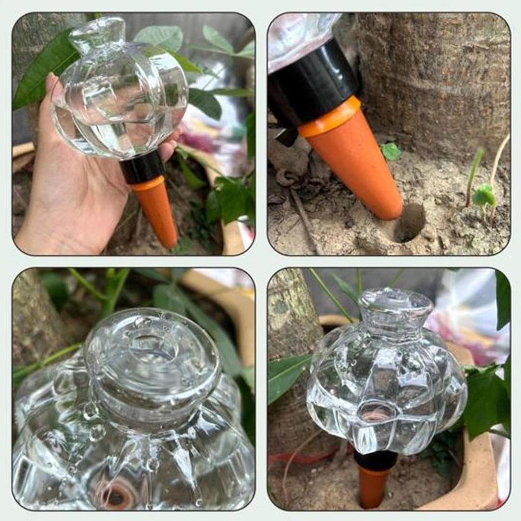 Self Watering Globes 17Oz Automatic Waterer With Lid Slow Release Plant Watering Devices Up To 2 Weeks For Indoor Yard Park