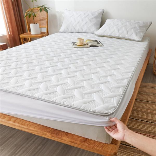 Cotton Winter Warm Thicken Sheet Bed Fitted Sheet Bedcover Printing Bed Mattress Cover Protector Sheet No Pillowcase