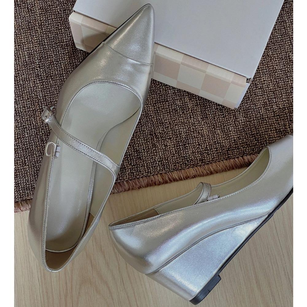 Fashion Strap Single Shoe Women's Leather Pointed Toe Wedge Heel Thick Heel Mary Jane Pumps for Womens 2025 Spring and Summer High Heels