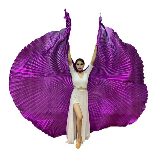 1 Set Performance Telescopic Rod 360 Wings Egyptian Degree Belly Dance Cape with Costume Pleated Bright
