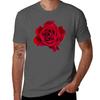 Red Rose Tshirt Basic Regular Fit Casual Tshirt