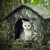 Дом-укрытие для бездомных кошек и собак, водонепроницаемые и теплые лежанки, уличная палатка, будка для кошек, домик для котят, укрытие для щенков
