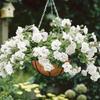 Outdoor 100% Natural Coco Basket Replacement Liner For Planters Coconut Liners Hanging Basket Liner
