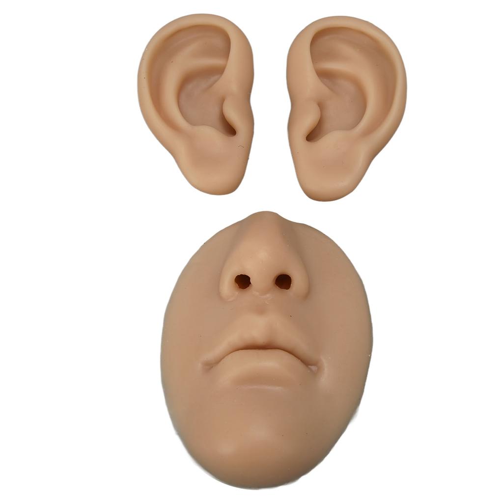 Silicone Ear Model Novice Simulated 3D Nose and Mouth Model Display Prop Teaching Tool for Piercing