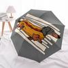 1pc Hotdog Dachshund Automatic Open/Close Umbrella Compact Folding Umbrella, All-Season Portable Umbrella for Women/Men F1124091