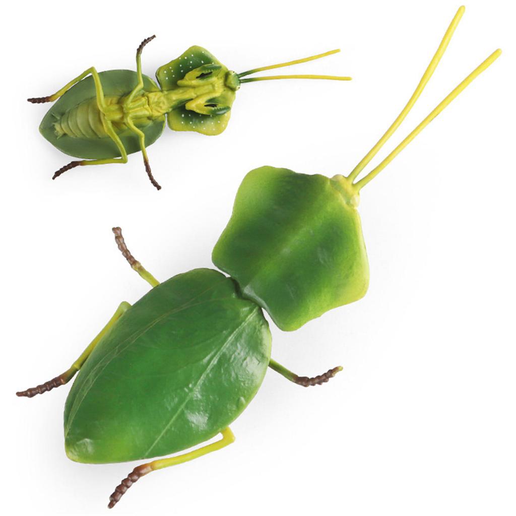 Beetle Figurines Simulation Insect Models Lawn Fence Insect Ornaments for Garden Home Decoration