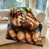 Two Yorkshire Terriers in Love Blanket Warm Soft Fluffy Kids Adult Luxury Gifts for Sofa Bed Home Outdoor Travel Camping Blanket