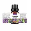 Botanical Essential Oil SADOER Rose Lavender Rosemary Moisturizing Massage Essential Oil