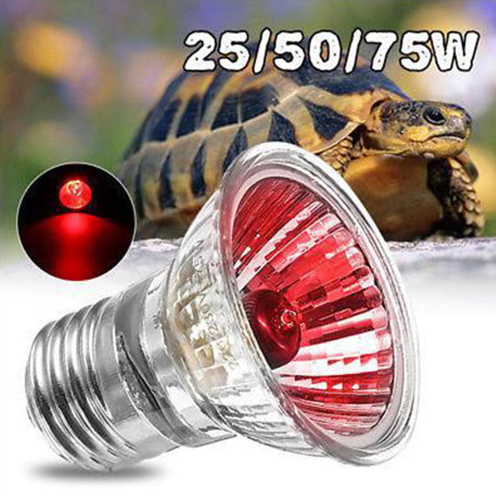 Heat Sunlight Lamp UVA+UVB for Amphibian Reptiles Birds Snakes