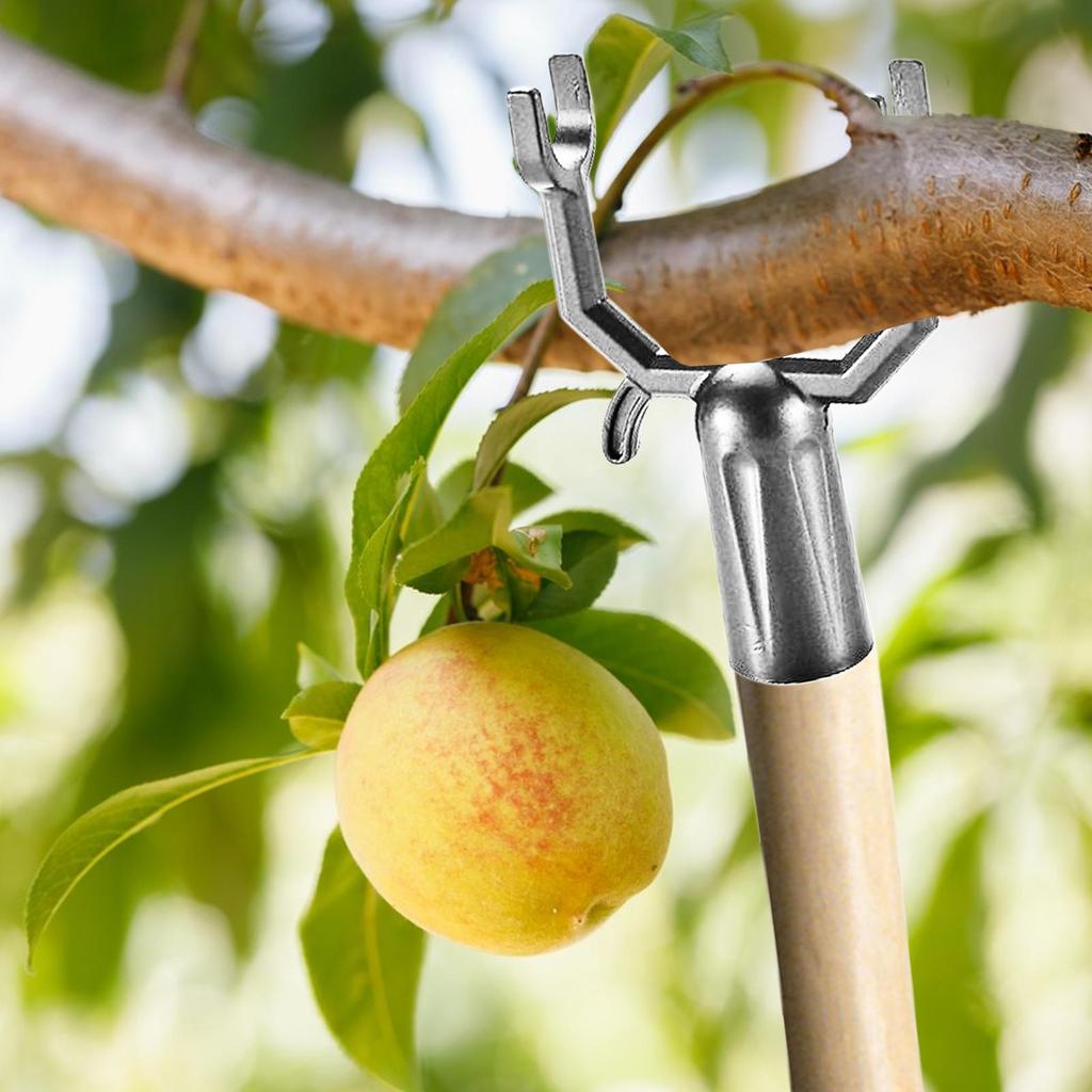 5 шт./комплект Регулируемые нержавеющие опоры для веток, подпорки для деревьев, распорки для ветвей, инструмент для наклона, для сбора фруктов на открытом воздухе